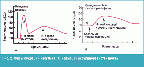 Выделение инсулина в норме и при патологии Выделение инсулина в норме и при патологии