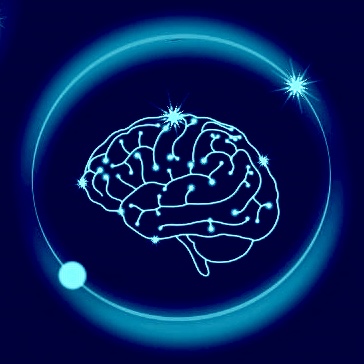 brain-diet.ru
